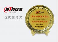 大华